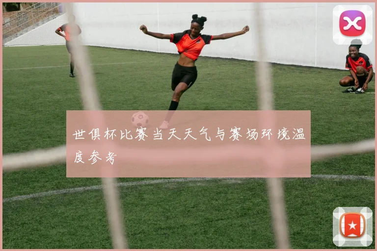 世俱杯比赛当天天气与赛场环境温度参考
