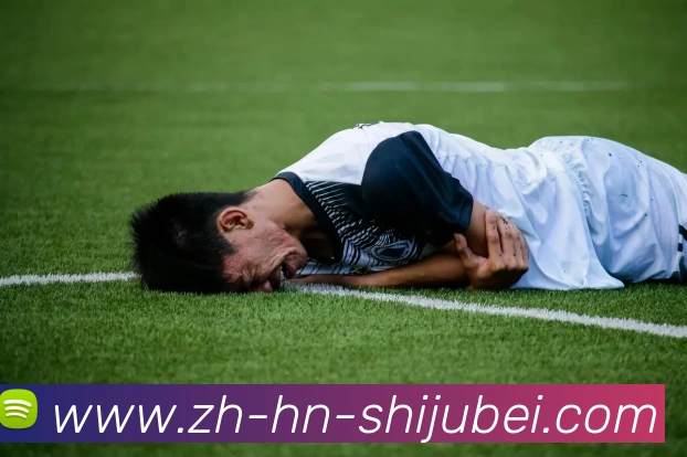 奖项证书