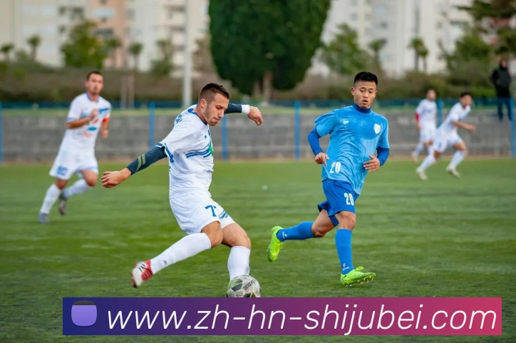 奖项证书
