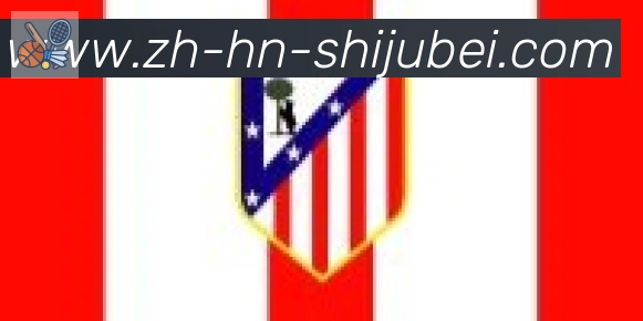 世界杯赛程表合作伙伴