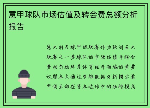 意甲球队市场估值及转会费总额分析报告